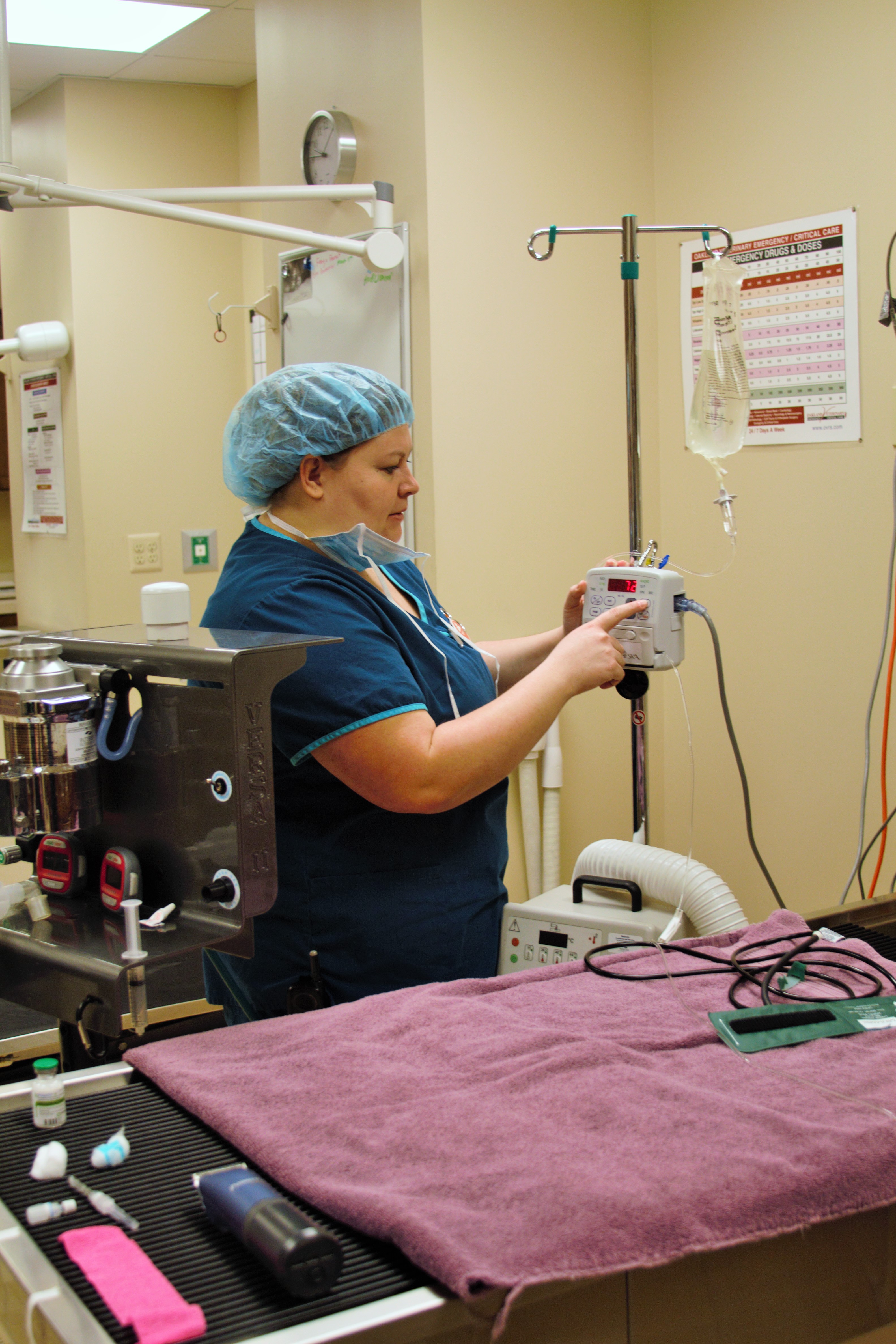 Take a Photo Tour Oakland Hills Veterinary Hospital