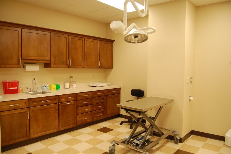 Take a Photo Tour Oakland Hills Veterinary Hospital